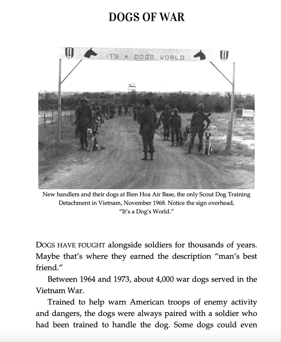 Vietnam War