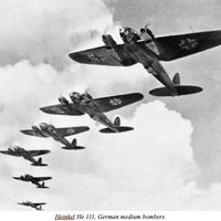 WWII in Europe • Ebook